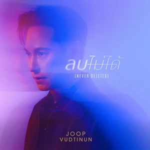 Joop Vudtinun